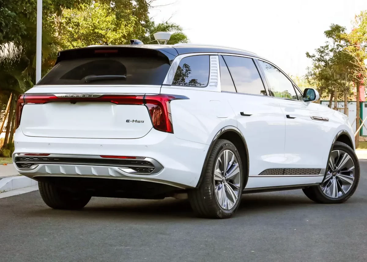 Хонгчи Е-HS9 Хонгчи Е-HS9