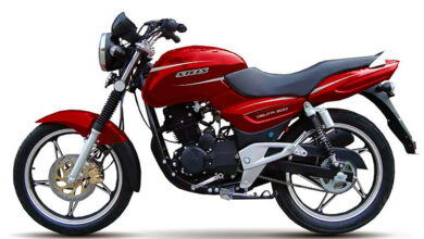 Stels Delta 200