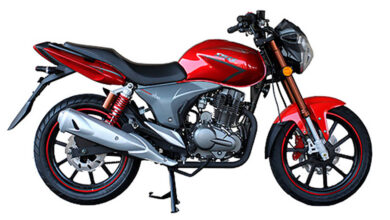 Stels Flame 200