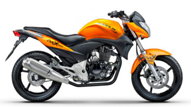 Stels Flex 250