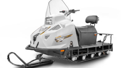 Stels Мороз 600