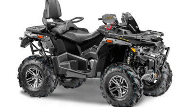 Stels ATV 800 Guepard