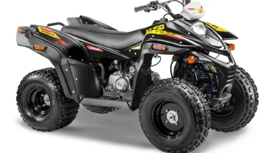 Stels ATV 110A Hugo