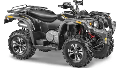 Stels ATV 600 Leopard