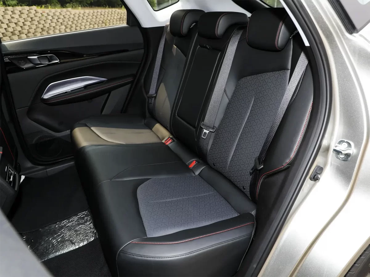 задние пассажирские места в Ошане З6 задние пассажирские места в Ошане З6