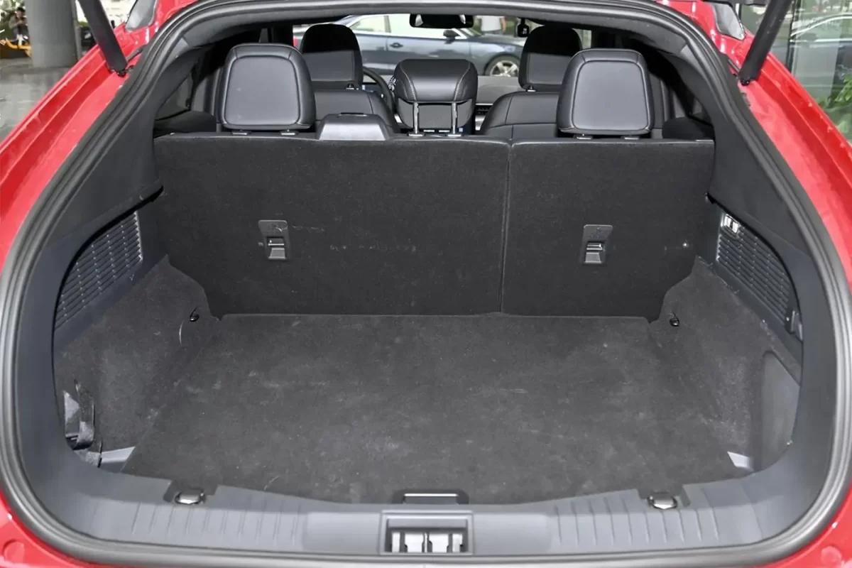 основной багажник