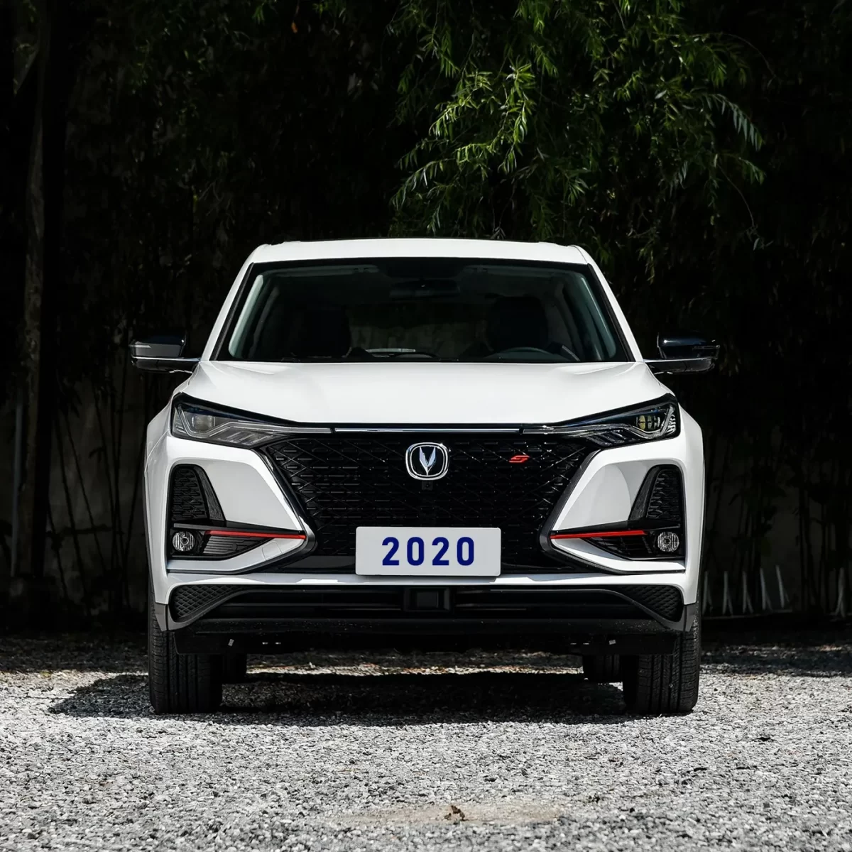 2020 CS75Plus 2020 CS75Plus