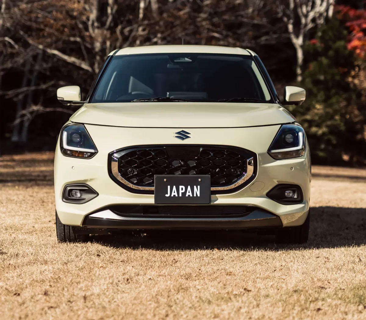 японский Suzuki Swift V японский Suzuki Swift V