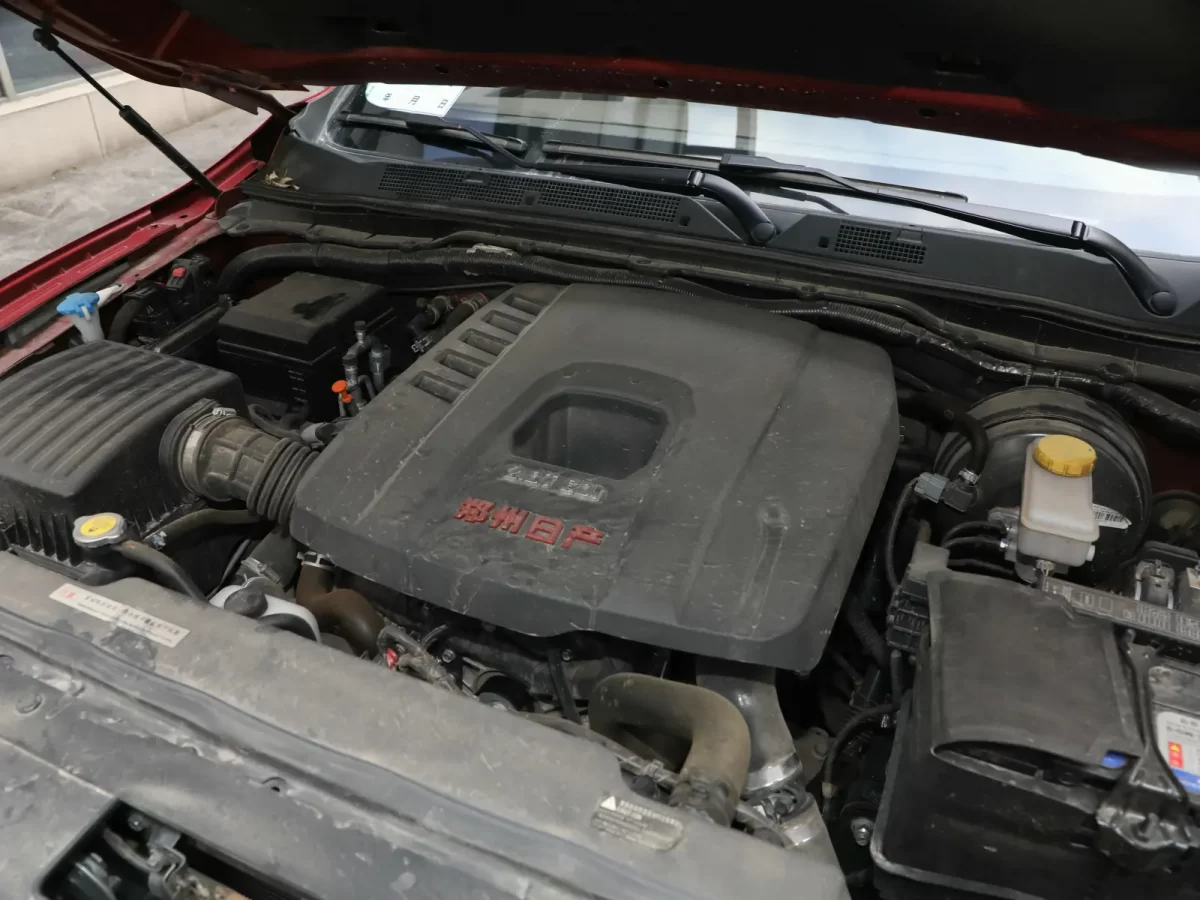 Oting Паладин