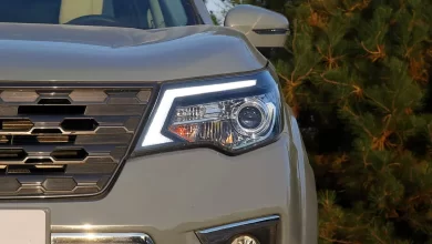 Oting Паладин