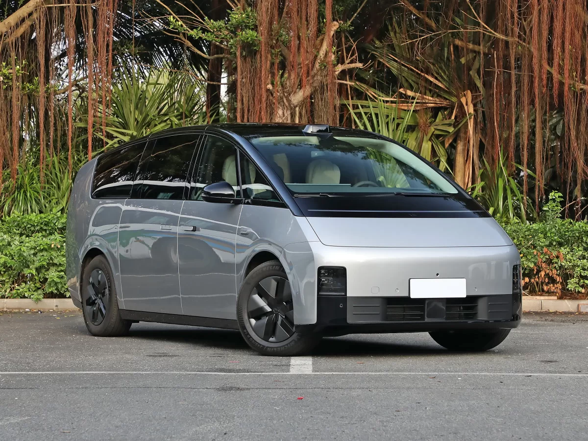 фото Лисян МЕГА