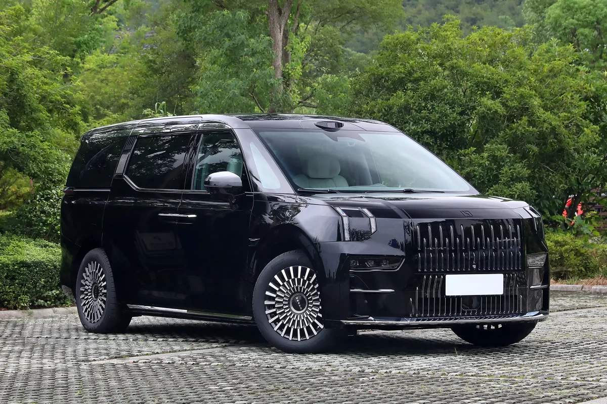 фото Zeekr 009 (чёрный, вид сзади)