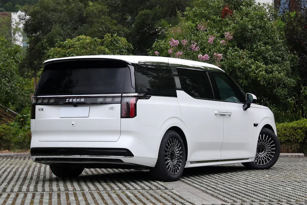 фотография Зикера 009 (белый, вид сзади)