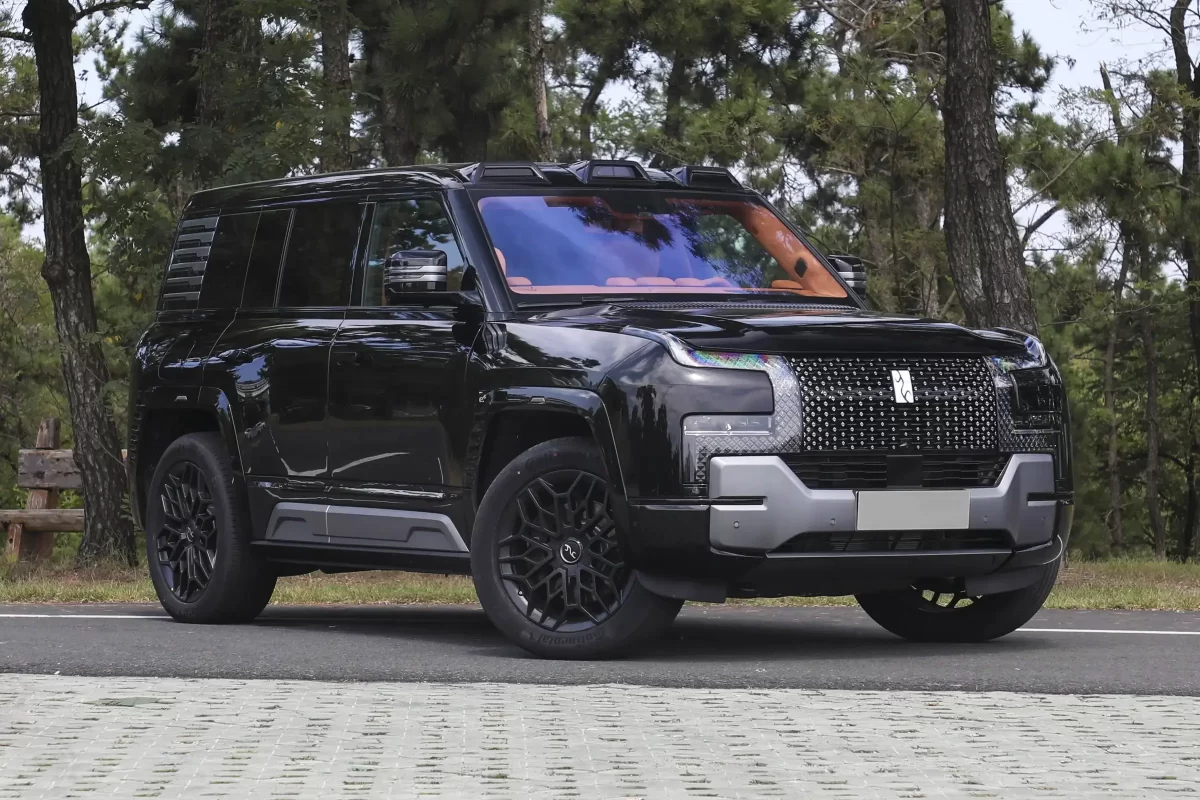 фото БИД Янгванг У8