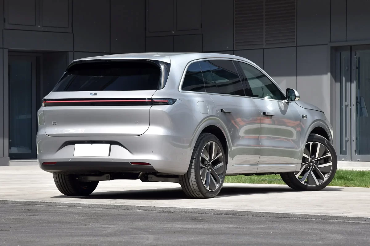 фото Ли Л 6 (вид сзади) фото Ли Л 6 (вид сзади)