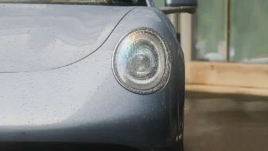 ORA 07 Lightning Cat